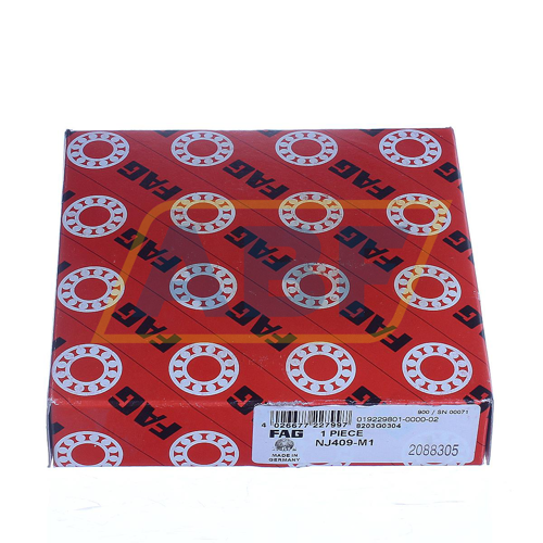 NJ409-M1 FAG