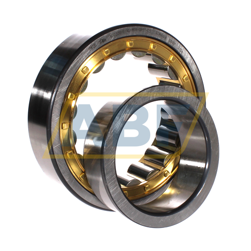 NJ2220-E-XL-M1A-QP51-C3 FAG