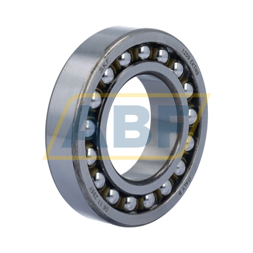 1209EKTN9 SKF
