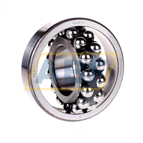 1310TV SLF Fraureuth