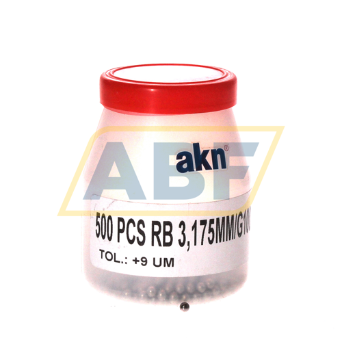 RB3,175MM/G100/SS420 AKN