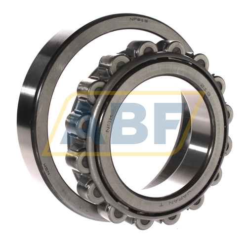 NF219W NSK