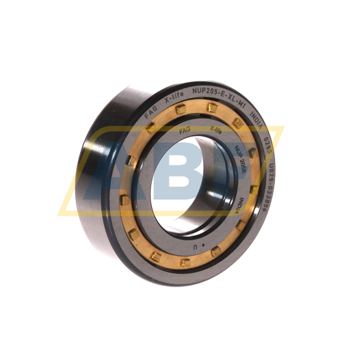 NUP205-E-XL-M1 FAG