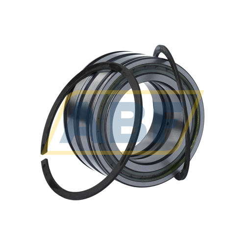 SL045010-PP-2NR-C3-L091 INA