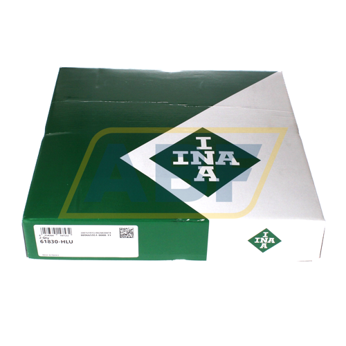 61830-HLU INA