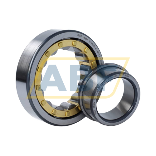 NJ310-E-XL-M1-C3 FAG