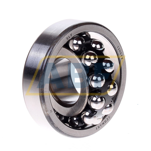 1305TV SLF Fraureuth