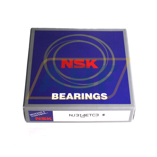 NJ314ETC3 NSK