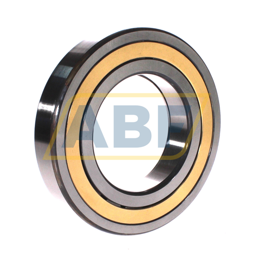 NUP219-E-XL-M1A-C4 FAG