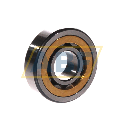 NU304-E-XL-M1A-C3 FAG