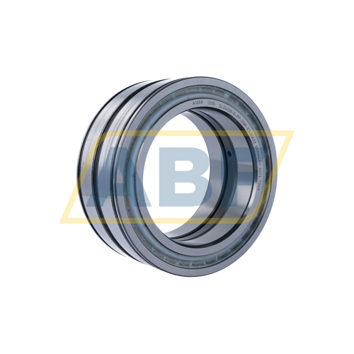 SL04130-D-PP-2NR-C3-GA22 INA