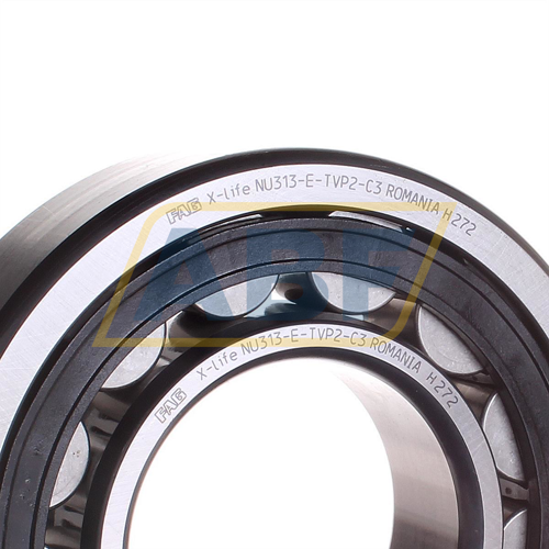 NU313-E-TVP2-C3 FAG
