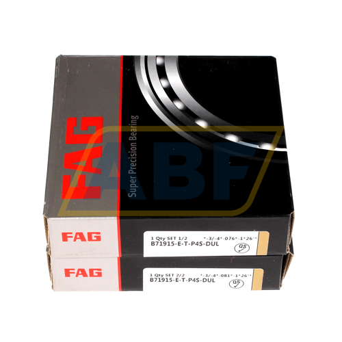 B71915-E-T-P4S-DUL FAG