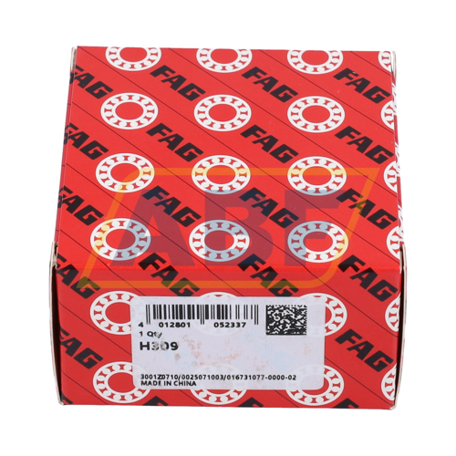 H309 FAG