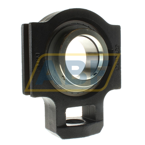 RTUE100 INA