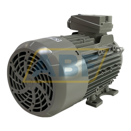 1LE1001-0DB62-2NA4-Z Siemens