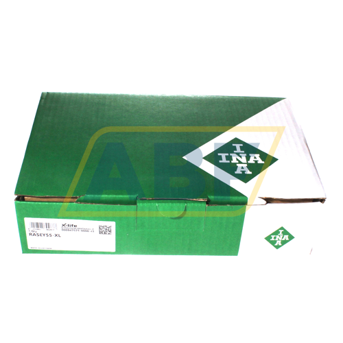 RASEY55 INA