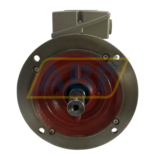 1LE1003-1CB02-2JA4 Siemens
