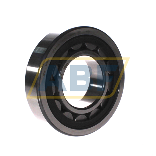 NJ314-E-XL-TVP2-C4 FAG