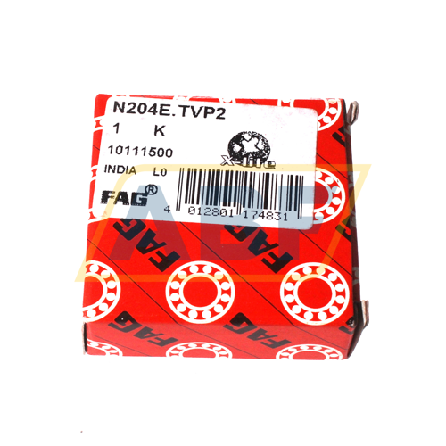 N204-E-TVP2 FAG