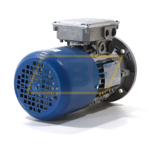 TF71B/4-B5 MT Motori Elettrici