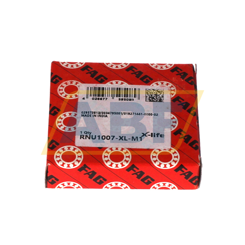 RNU1007-XL-M1 FAG