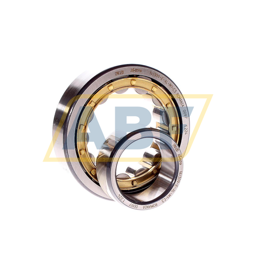 NU309-E-XL-M1-C3 FAG