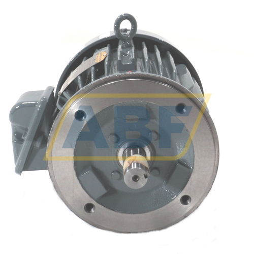 06J142X20361XN Baldor