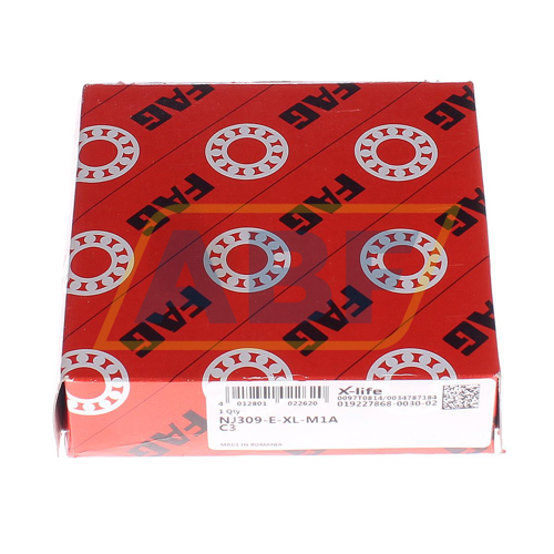 NJ309-E-XL-M1A-C3 FAG