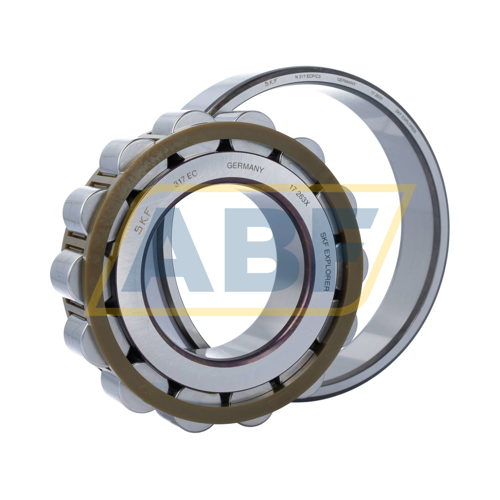 N317ECP/C3 SKF
