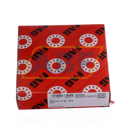 NJ309-E-XL-M1-C4 FAG