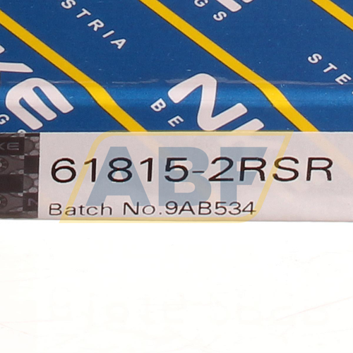 61815-2RSR NKE