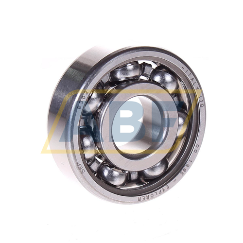 6302 SKF