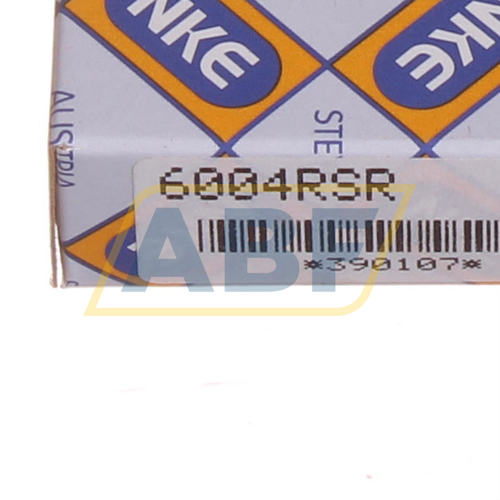 6004-RSR NKE