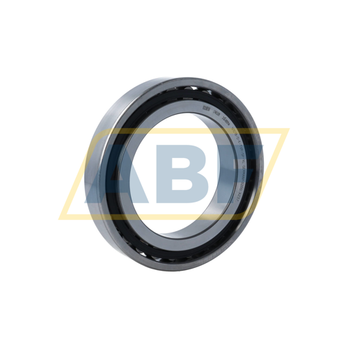 N1018-D-K-TVP-SP-XL FAG