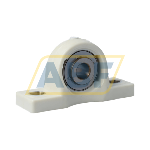 F-UCPR202-010/LP06 NTN