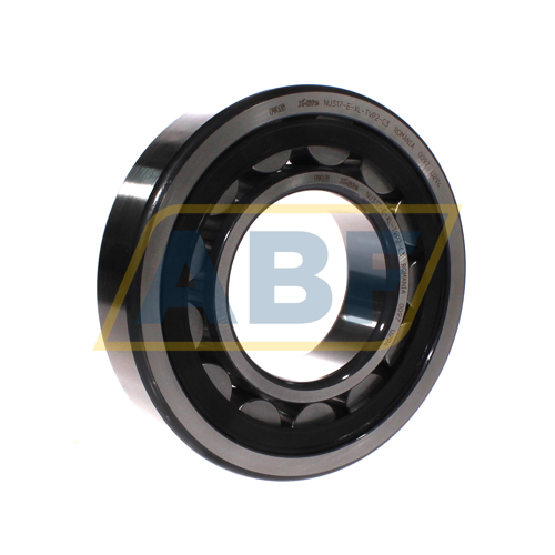 NU317-E-XL-TVP2-C3 FAG