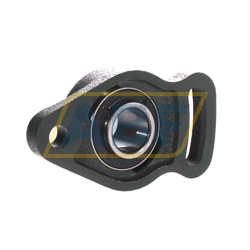 UCFA205D1 NSK