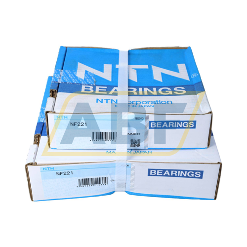 NF221 NTN