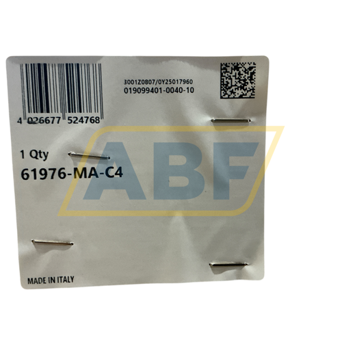 61976-MA-C4 FAG