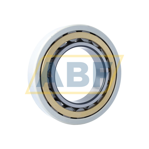 NU224-E-XL-M1-J20AA-C3 FAG