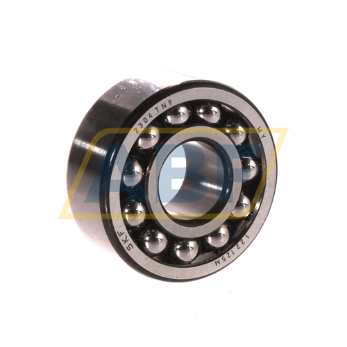 2304TN9 SKF