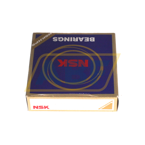6011DDUCM NSK