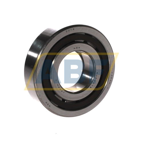 NUP307ET NSK