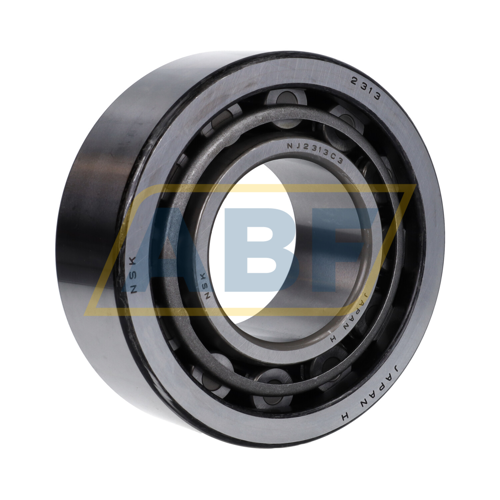 NJ2313WC3 NSK