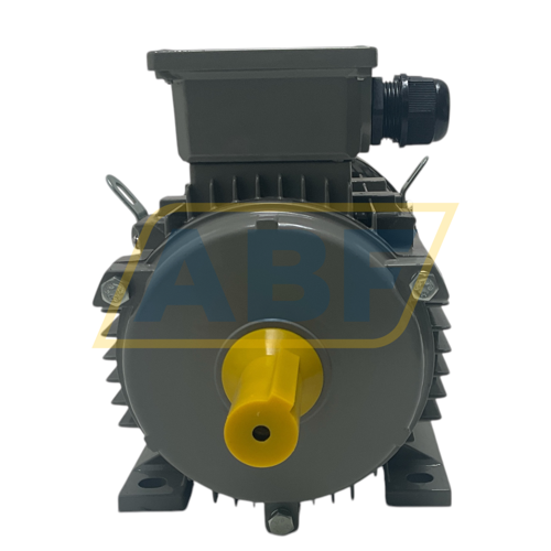 JL1-100L2-4-B3 JinLong Electrical Machinery