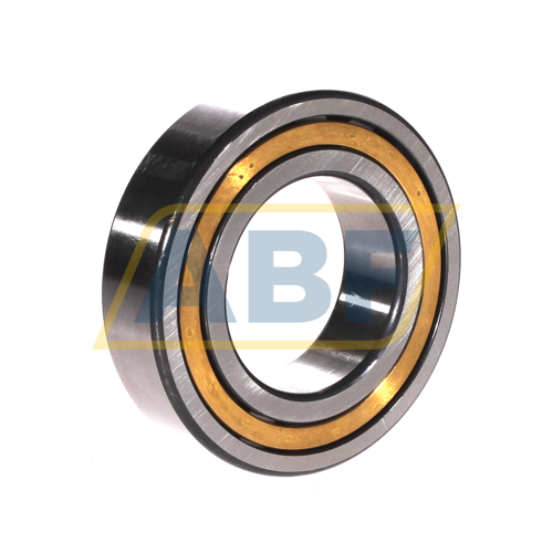 NJ2210-E-XL-M1-C3 FAG