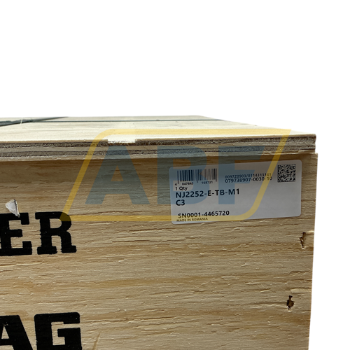 NJ2252-E-TB-M1-C3 FAG