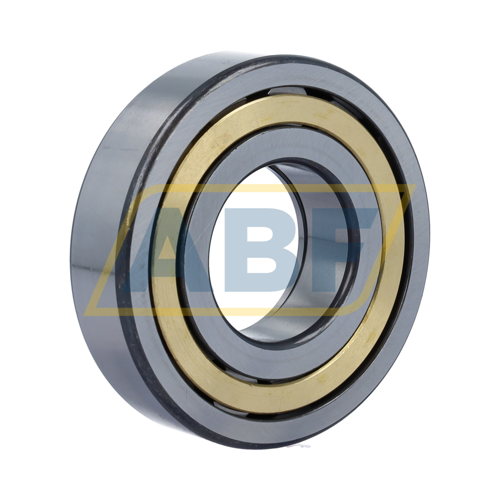 NUP309-E-XL-M1-C3 FAG