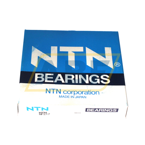 NF217 NTN